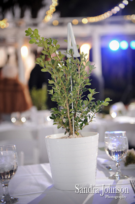 Best Cypress Grove Park Wedding photographer - Sandra Johnson (SJFoto.com)